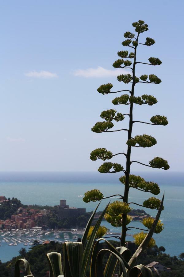 Agave Di Lerici Villa Exterior photo