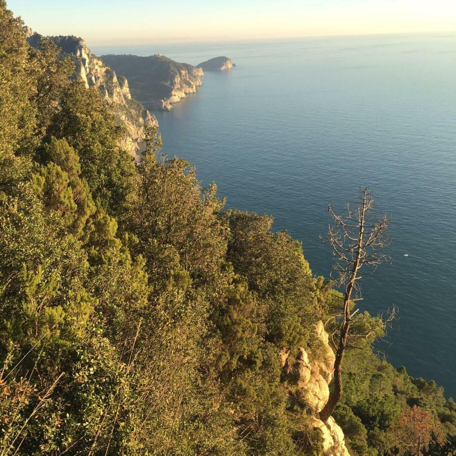 Agave Di Lerici Villa Exterior photo